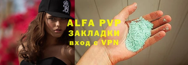 крисы Абаза