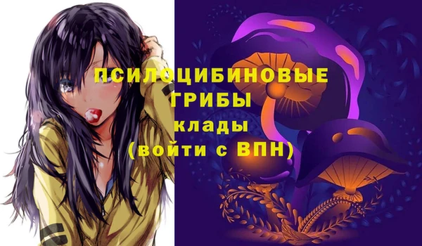 таблы Алзамай